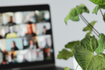 Virtual CFO